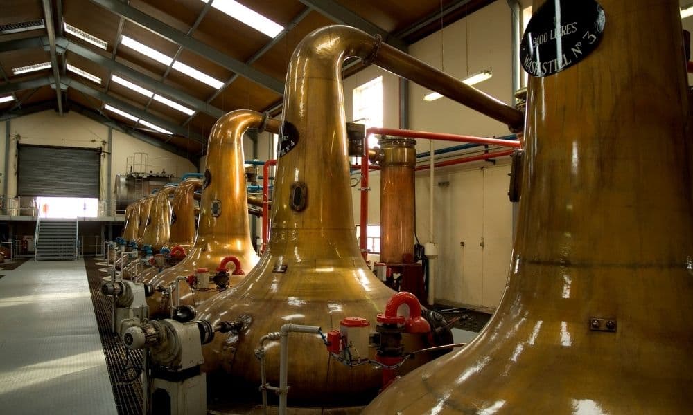 Malt Distillery Plant-1