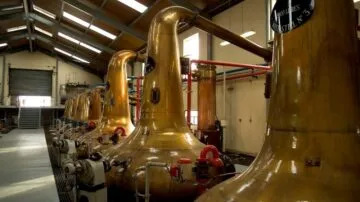 Malt Distillery Plant-1